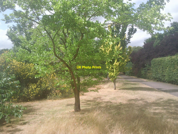 Photo 6"x4" Russell Park Crayford\/TQ5174 c2010 P1