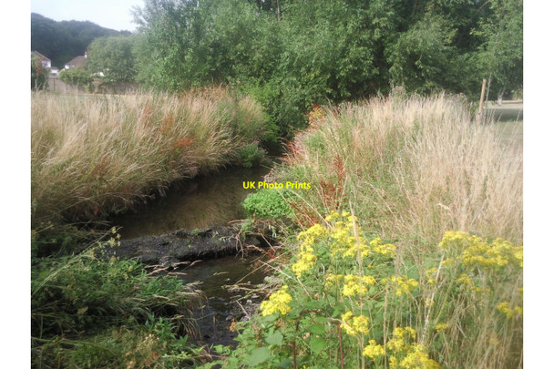 Photo 6"x4" River Shuttle Bexley c2010