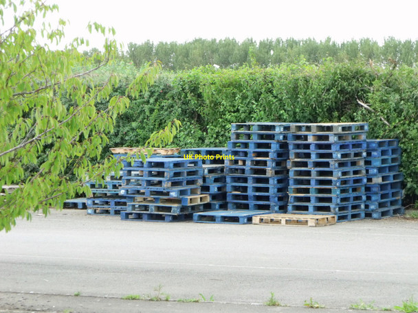 Photo 6"x4" Pallets at Roundstone Pick-Your-Own, Littlehampton East Preston\/TQ0702 c2010