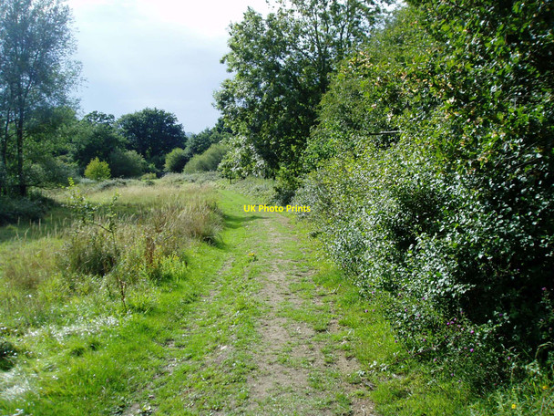 Photo 6"x4" Path to Pulborough (2) Wiggonholt c2010
