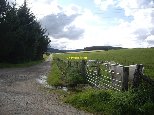 Photo 6"x4" Access to Wester Leochel Leochel-Cushnie c2010