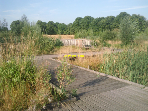 Photo 6"x4" Boardwalk in Sutcliffe Park Eltham c2010