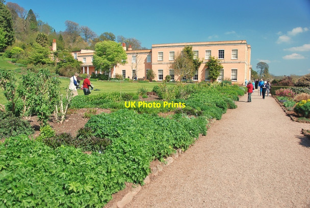 Photo 6"x4" Killerton House and Gardens Beare\/SS9800 c2009