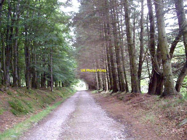 Photo 6"x4" Lane between Gairn Farm and Gairnlea Blacktop c2010