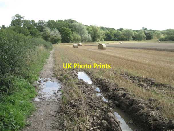 Photo 6"x4" Wheatfield by the Blythe Balsall Street c2010