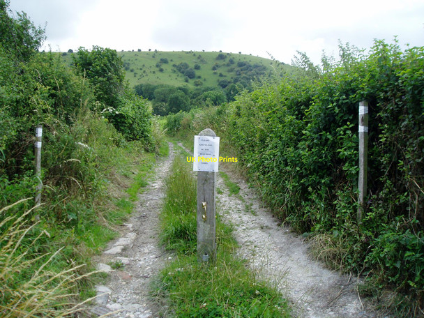 Photo 6"x4" Route to Burnhouse Bostall Westmeston c2009