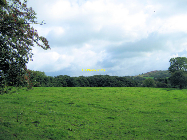 Photo 6"x4" Looking towards Bailey's Wood Biddulph c2010
