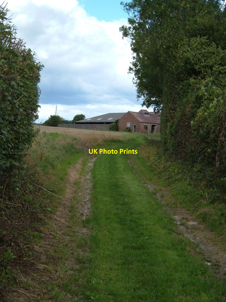 Photo 6"x4" Approaching Hermitage Farm at Chidden Chidden c2010
