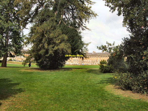 Photo 6"x4" Trees in front of Royal Crescent Bath\/ST7464 c2010