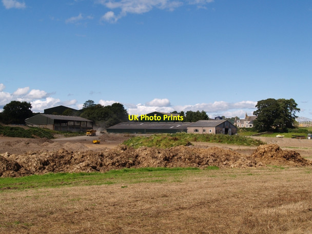 Photo 6"x4" Boreland of Balmaghie Abbey Yard\/NX7364 c2010
