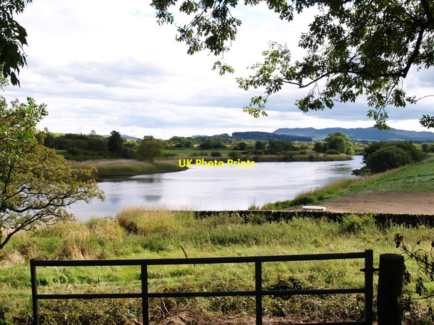 Photo 6"x4" River Dee at Barony Isle Abbey Yard\/NX7364 c2010