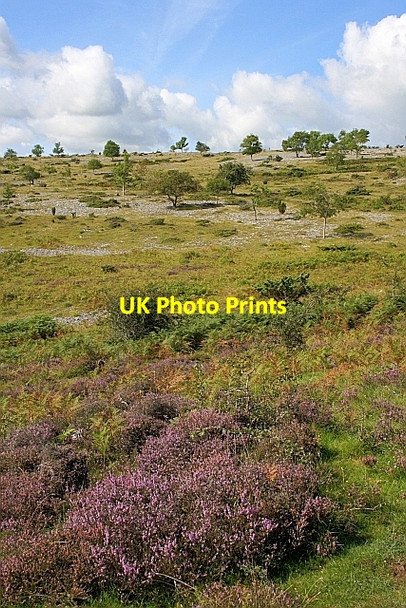 Photo 6"x4" Helsington Barrows Kendal c2010