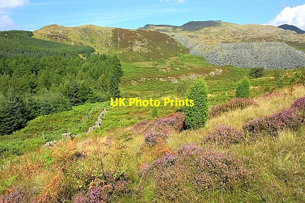 Photo 6"x4" On Grain Moor Rosthwaite\/SD2490 c2010
