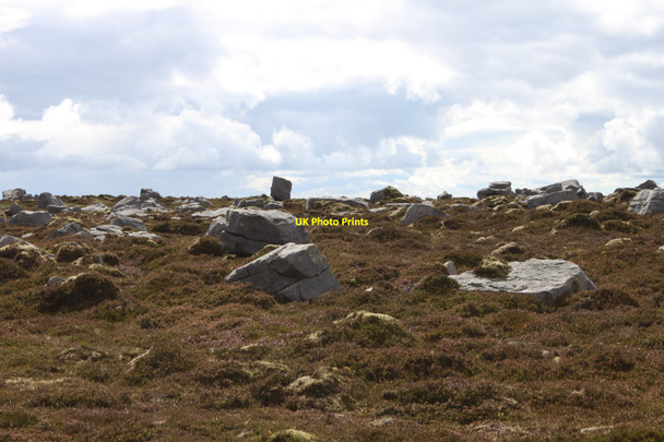 Photo 6"x4" Cuilcagh Mountainside Glangevlin c2010