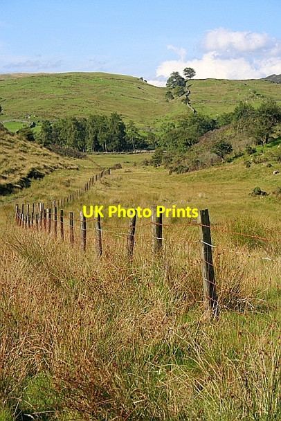 Photo 6"x4" Fence, Bleathwaite Pasture Scar Head c2010