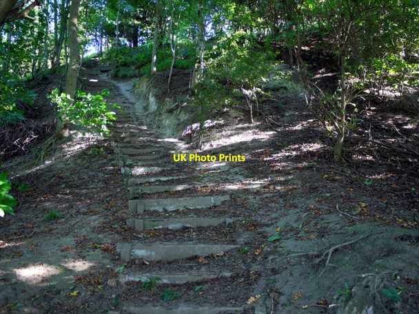 Photo 6"x4" Steps on the west side of the Spetchells, Tyne Riverside Park Prudhoe c2010