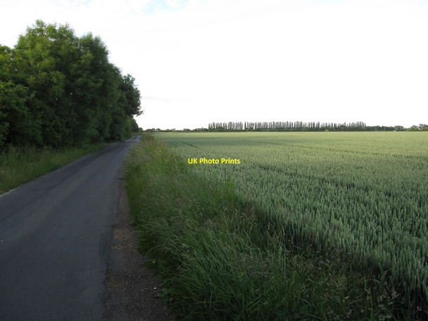 Photo 6"x4" Bramble Lane Holly End c2010