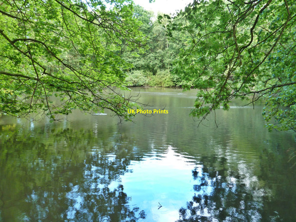 Photo 6"x4" Pond, East Rounton East Rounton c2010