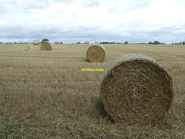 Photo 6"x4" Fresh Harvest Helions Bumpstead c2010