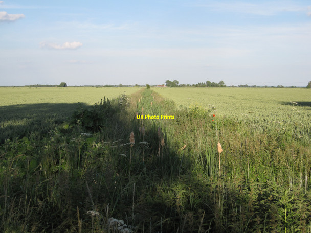 Photo 6"x4" Holme Fen Aldreth c2010