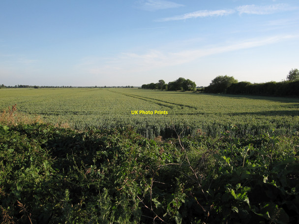 Photo 6"x4" Field south of Fen Side byway Wilburton c2010
