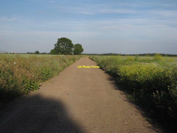 Photo 6"x4" Cut Bank Wilburton c2010