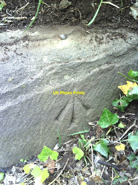 Photo 6"x4" Benchmark on footpath step in Arno's Vale Cemetery Arno's Vale c2010