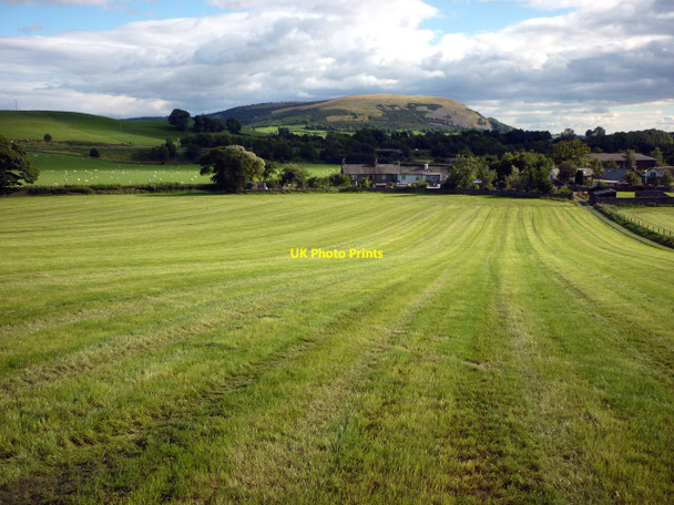 Photo 6"x4" Newly mown field below St Patrick's Church, Preston Patrick Crooklands\/SD5383 c2010 P1