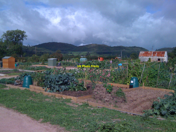 Photo 6"x4" Gardens in Dalbeattie Dalbeattie c2010