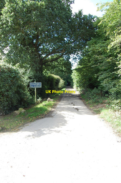 Photo 6"x4" Robin Post Lane Hailsham c2010