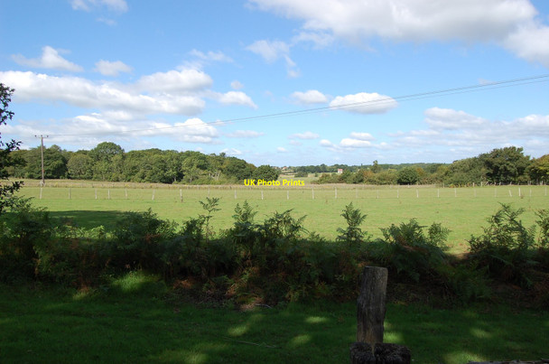 Photo 6"x4" Land off Hempstead Lane, near Hailsham Hailsham c2010