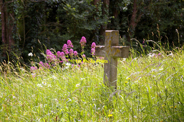 Photo 6"x4" Graveyard, St Peter & St Paul, Mottistone, Isle of Wight Mottistone c2009