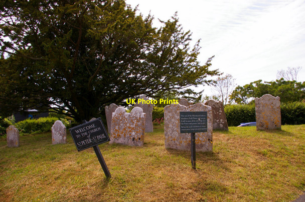 Photo 6"x4" Graveyard, St Peter & St Paul, Mottistone, Isle of Wight Mottistone c2009