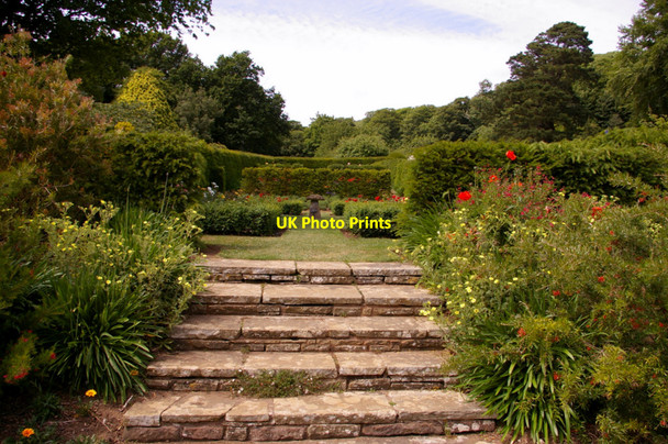 Photo 6"x4" Mottistone Manor Garden, Isle of Wight Mottistone c2009