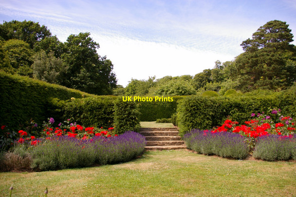 Photo 6"x4" Mottistone Manor Garden, Isle of Wight Mottistone c2009