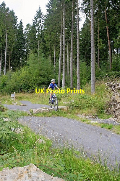 Photo 6"x4" The Skills Park, Mabie Forest Islesteps c2010