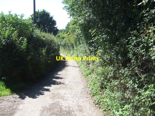Photo 6"x4" Road into Culm Davy Culm Davy c2010
