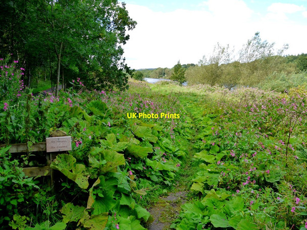 Photo 6"x4" River side path, Tyne Riverside Park, Prudhoe Prudhoe c2010
