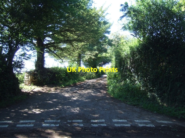Photo 6"x4" Country Lane to New Barn and Culm Davy Whitehall\/ST1214 c2010