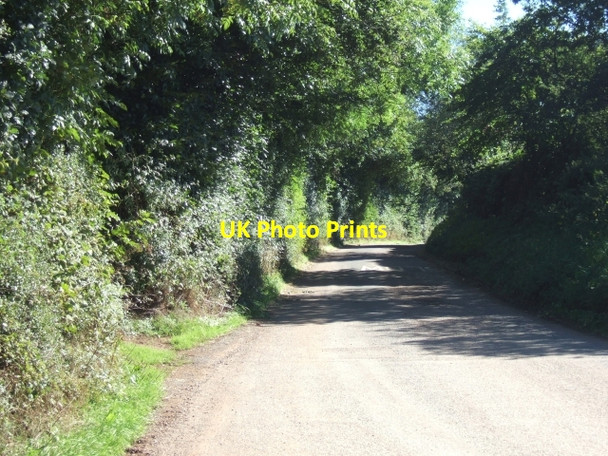 Photo 6"x4" Looking south from Pennslade Cross Appledore\/ST0614 c2010