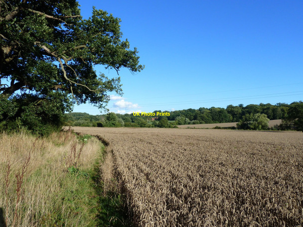 Photo 6"x4" Footpath beside the River Medway, near Fordcombe Saint's Hill c2010
