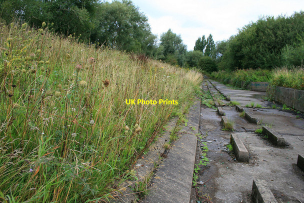 Photo 6"x4" Autumn approaches on the flood bank Long Eaton c2010