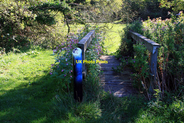 Photo 6"x4" Short boardwalk in Fox Covert Long Eaton c2010