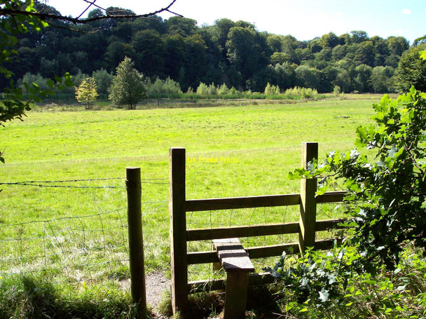 Photo 6"x4" Stile in Erddig Country Park Wrexham\/Wrecsam c2010