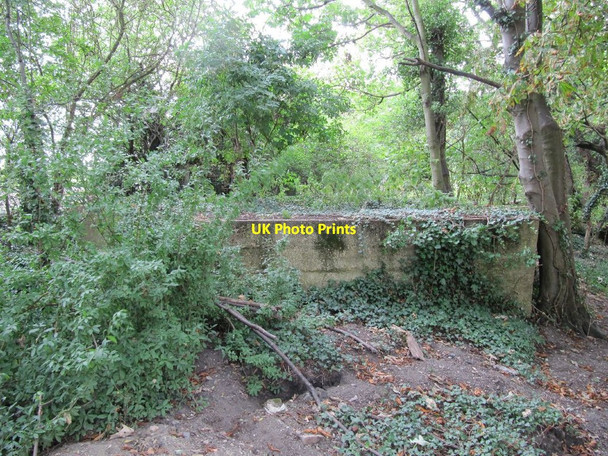 Photo 6"x4" Revisit to the emplacement Cholsey c2010