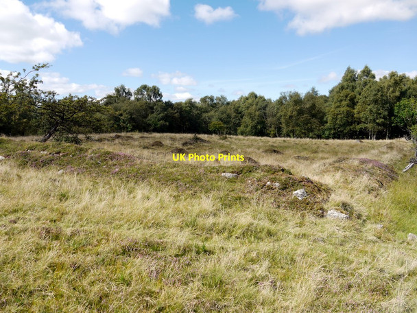 Photo 6"x4" Old boundaries north-east of Shepherd's Law Titlington c2010