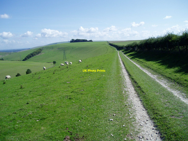 Photo 6"x4" Track to Coombes Beggars Bush\/TQ1607 c2010