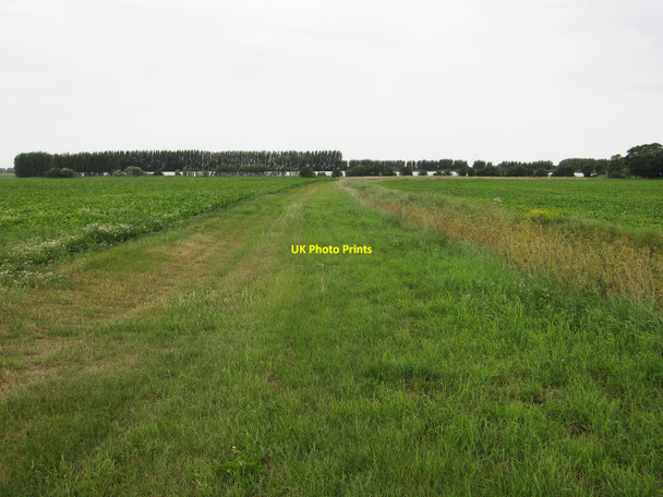 Photo 6"x4" Footpath to Maltmas Farm Friday Bridge c2010
