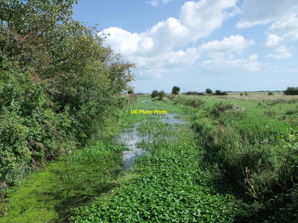 Photo 6"x4" Hurst Haven at New Bridge, Pevensey Levels Golden Cross\/TQ6310 c2010
