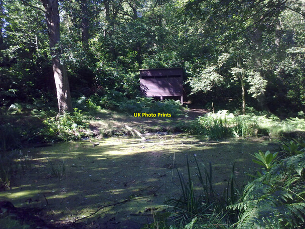 Photo 6"x4" Bird hide Dersingham c2010